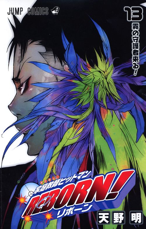 家庭教師ヒットマンREBORN! 13