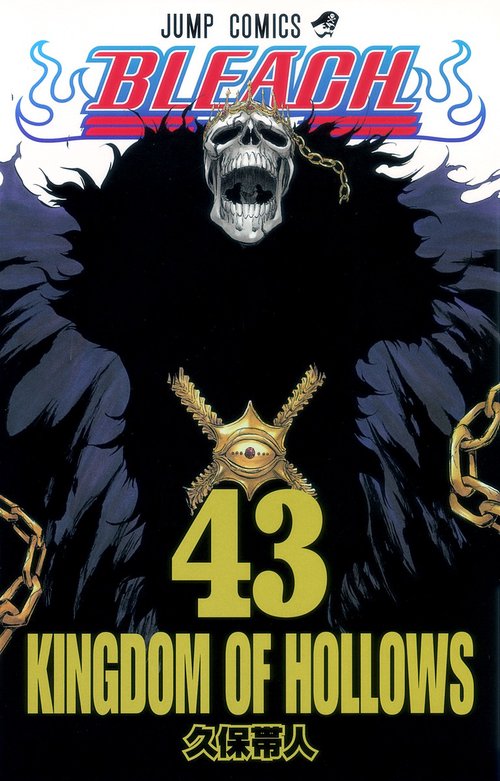 BLEACHブリーチ 43