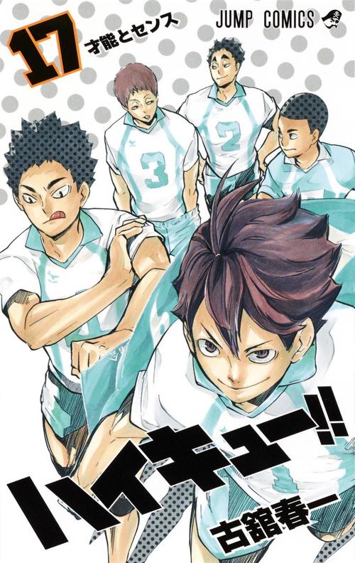 ハイキュー!! 17