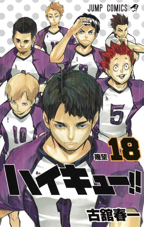 ハイキュー!! 18