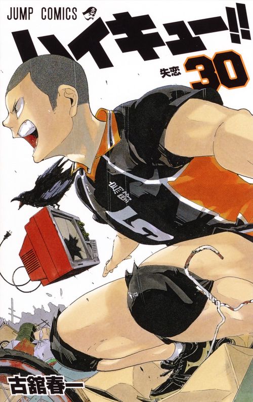 ハイキュー!! 30