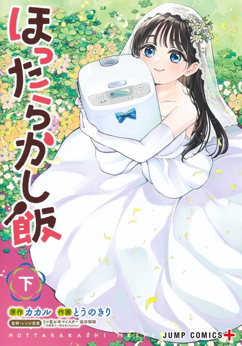 ほったらかし飯 下