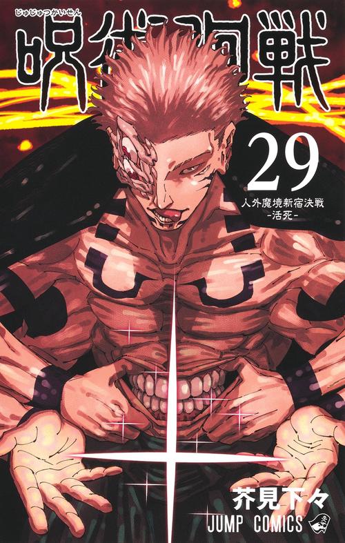 呪術廻戦 29