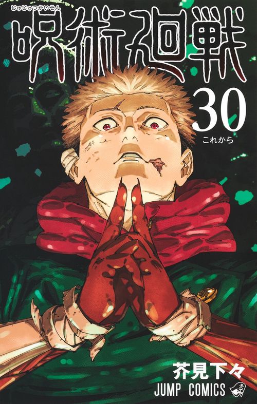 呪術廻戦 30 – 丸善ジュンク堂書店ネットストア