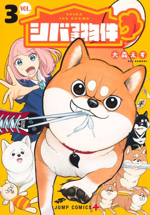 シバつき物件 3