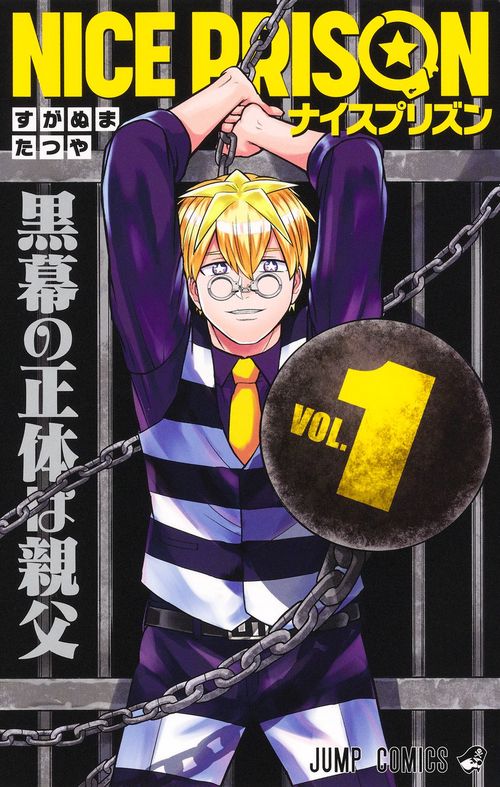 NICE PRISON 1