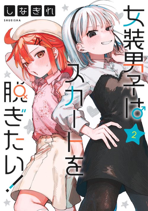 女装男子はスカートを脱ぎたい！ 2