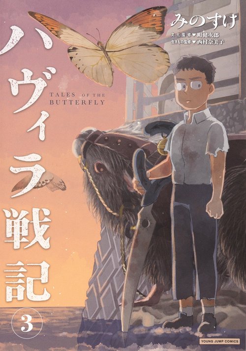 ハヴィラ戦記 3