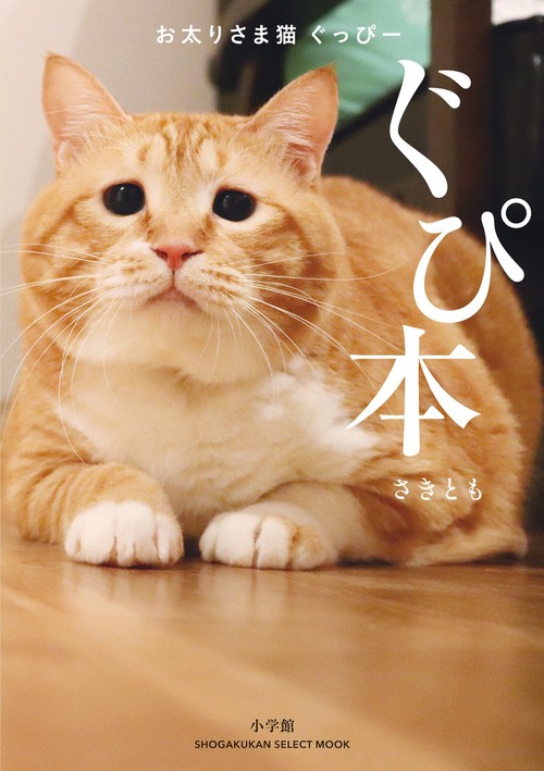お太りさま猫 ぐっぴー ぐぴ本
