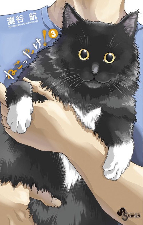 ねこったけ! 3