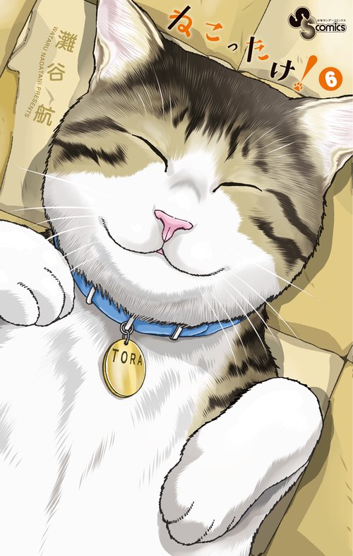 ねこったけ! 6