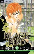BLACK BIRD 12