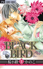 BLACK BIRD 16