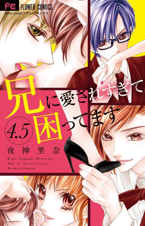 兄に愛されすぎて困ってます 4.5