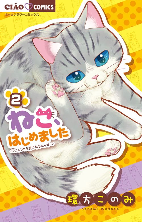ねこ、はじめました 2