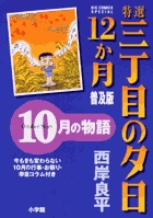 特選三丁目の夕日・12か月 11 普及版