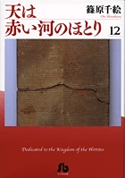 天は赤い河のほとり〔小学館文庫〕 12