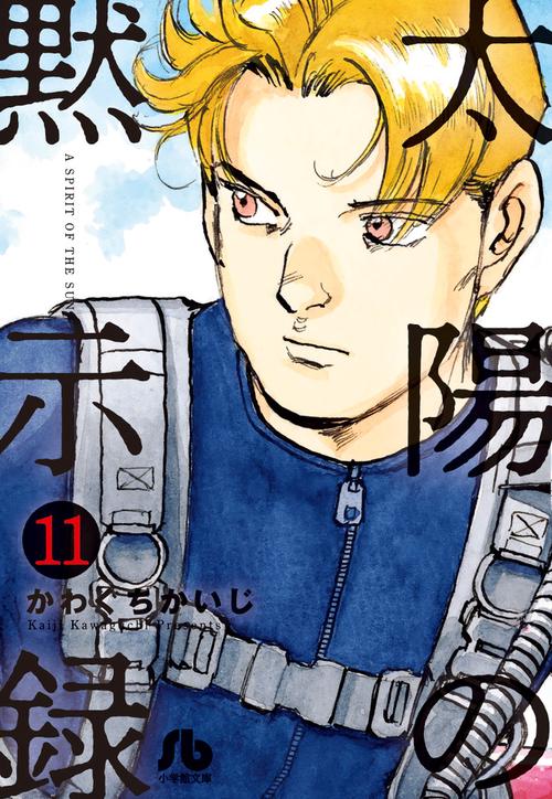 太陽の黙示録 11