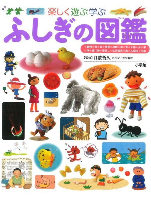 小学館プレNEO 楽しく遊ぶ学ぶ図鑑2冊+小学館の図鑑 NEO8冊　10冊セット 小学館の子ども図鑑 プレNEO 楽しく遊ぶ学ぶ ふしぎの図鑑 – 丸善