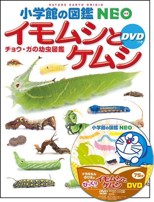 小学館の図鑑NEO イモムシとケムシ DVDつき