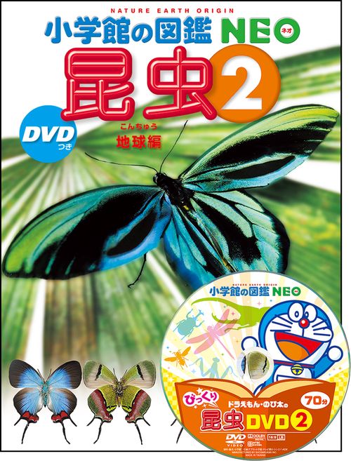 昆虫2 DVDつき