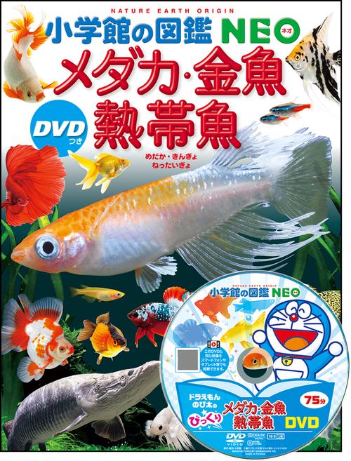 メダカ・金魚・熱帯魚 DVDつき