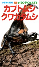 カブトムシ・クワガタムシ