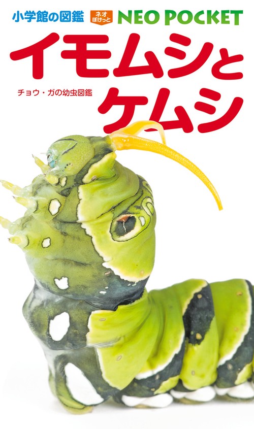 イモムシとケムシ