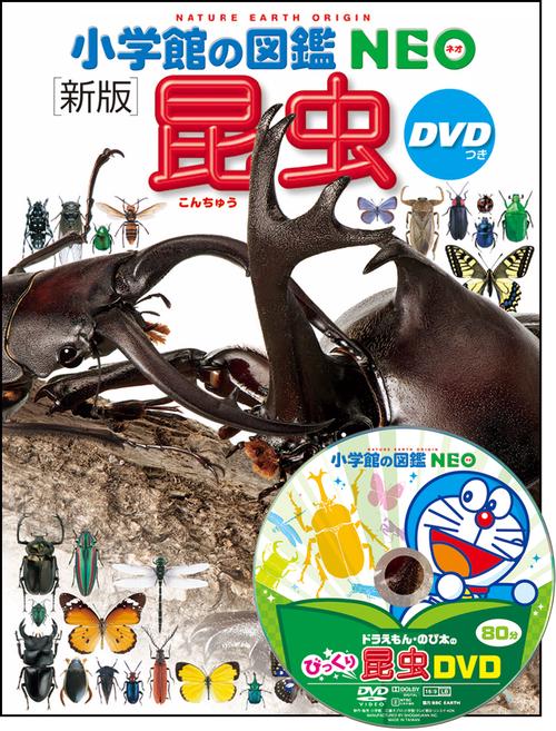 小学館の図鑑NEO〔新版〕 昆虫 DVDつき – 丸善ジュンク堂書店ネットストア