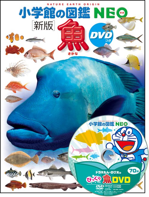 小学館の図鑑NEO〔新版〕 魚 DVDつき