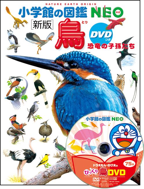 小学館の図鑑NEO〔新版〕 鳥 DVDつき