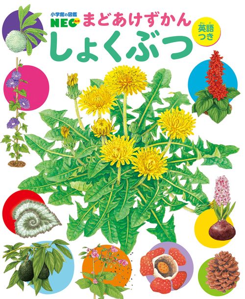 しょくぶつ