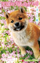 天国の犬ものがたりずっと一緒