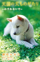 天国の犬ものがたりわすれないで