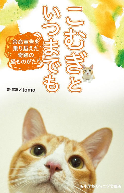 こむぎといつまでも