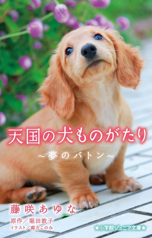 天国の犬ものがたり夢のバトン