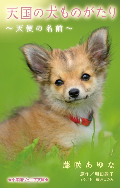 天国の犬ものがたり天使の名前