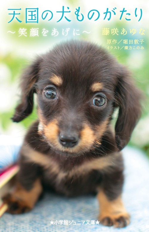 天国の犬ものがたり笑顔をあげに
