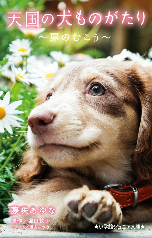 天国の犬ものがたり扉のむこう