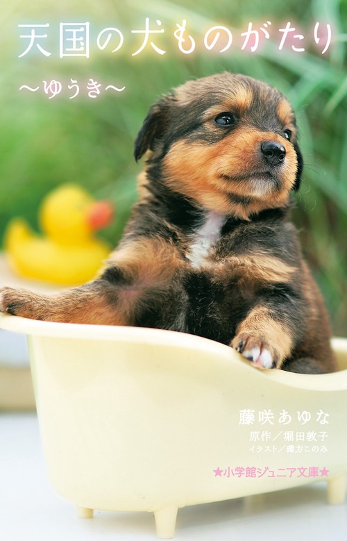 天国の犬ものがたり ゆうき