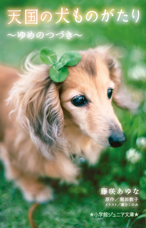 天国の犬ものがたり ～ゆめのつづき～