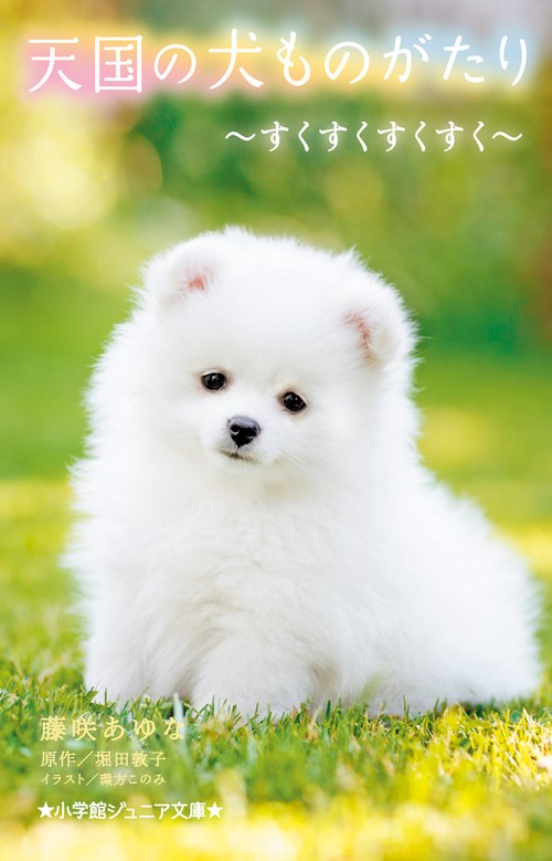 天国の犬ものがたり ～すくすくすくすく～