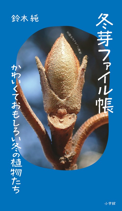冬芽ファイル帳