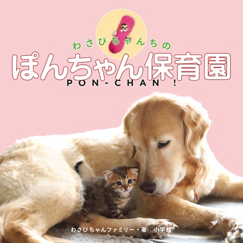 わさびちゃんちのぽんちゃん保育園