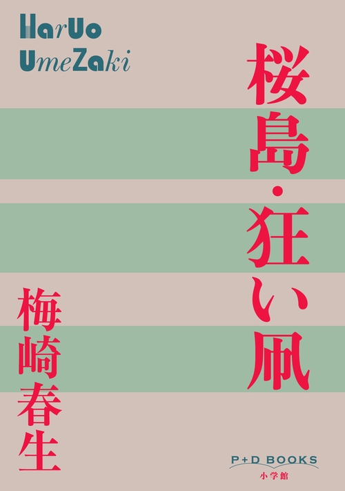 桜島・狂い凧