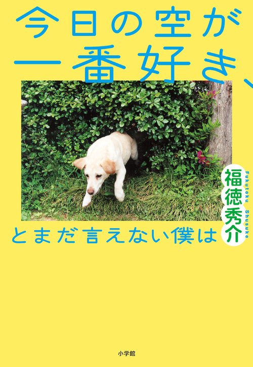 今日の空が一番好き、とまだ言えない僕は