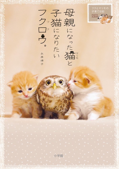 母親になった猫(マリモ)と子猫になりたいフクロウ(フク)。 フクとマリモの子育て日記