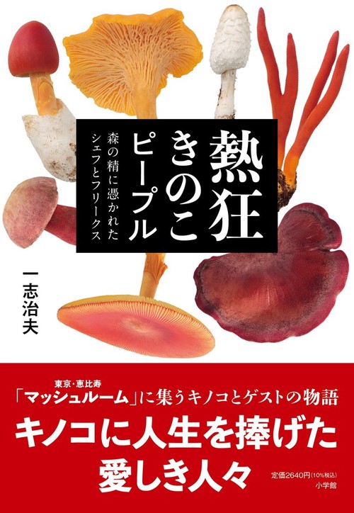 熱狂きのこピープル