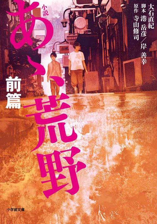 小説 あゝ、荒野 前篇