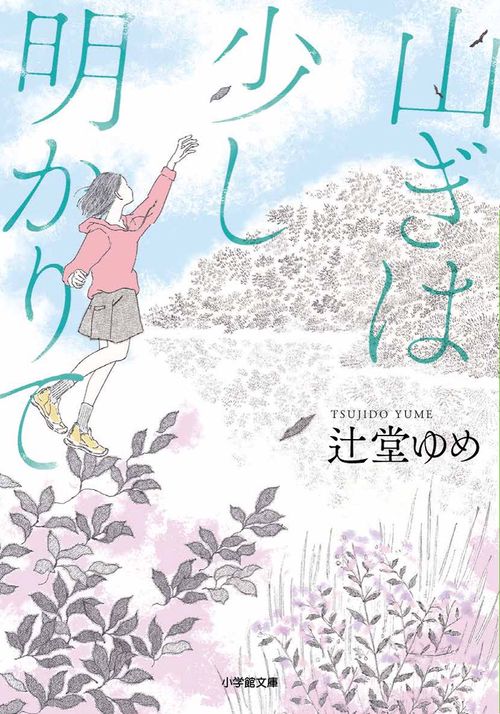 山ぎは少し明かりて